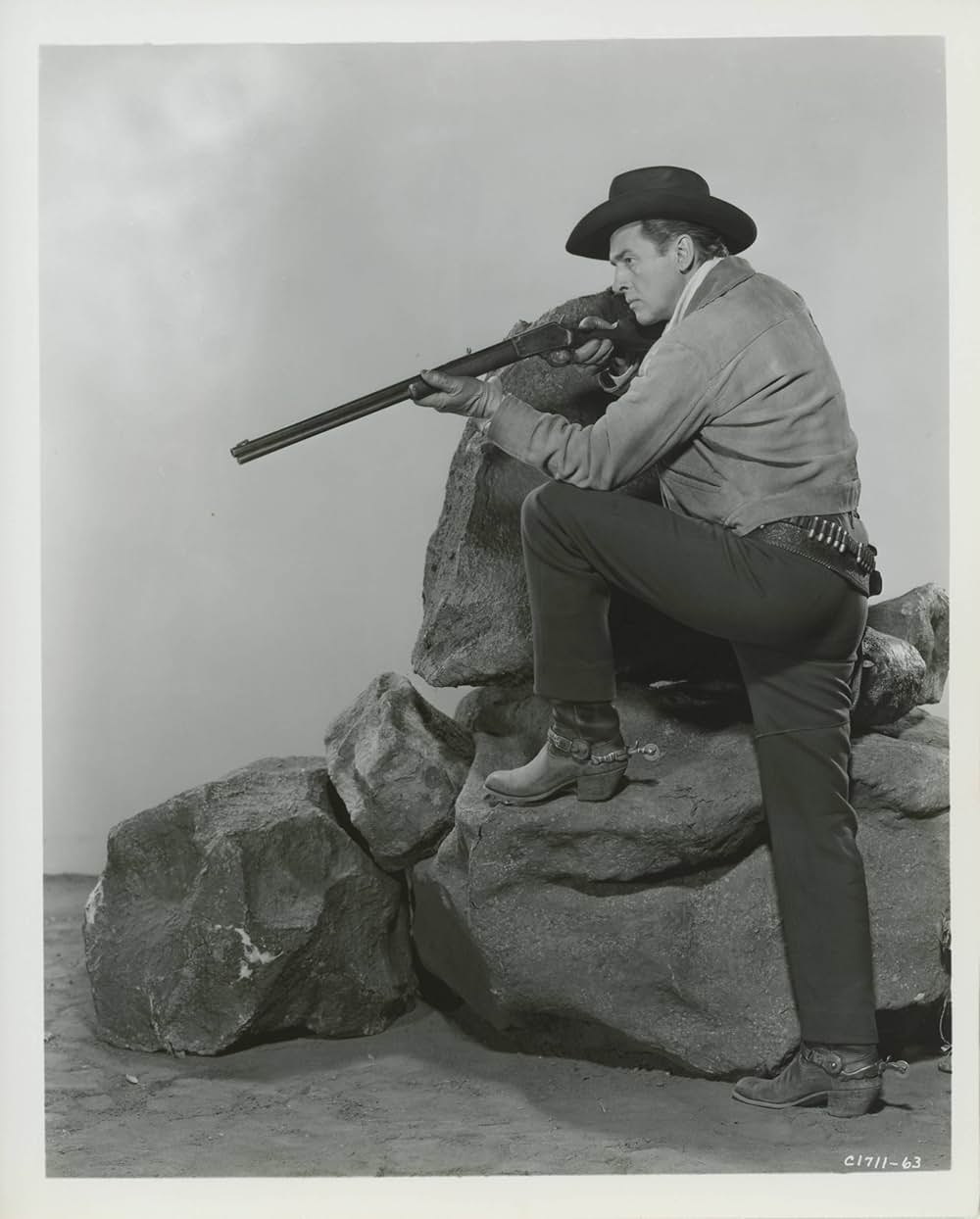 連発銃は知っているの画像