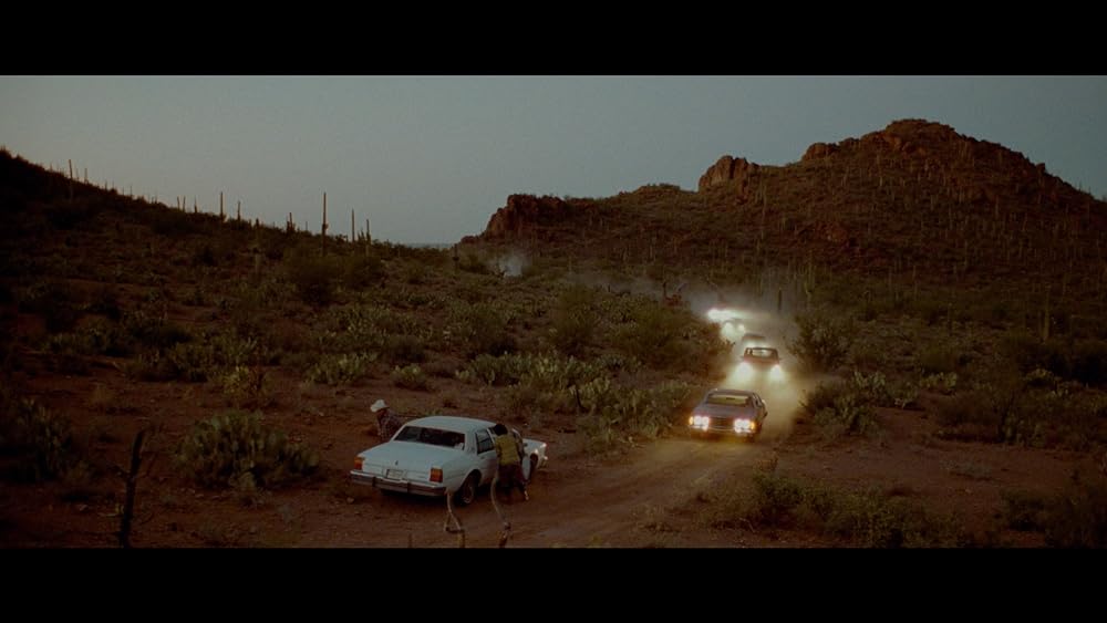 ペルディータの画像