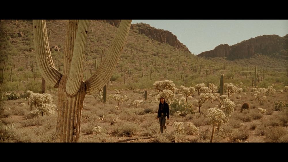 ペルディータの画像