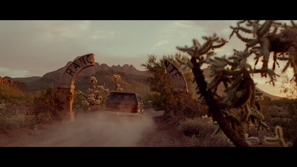 ペルディータの画像