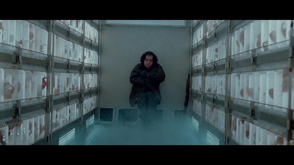 ペルディータの画像