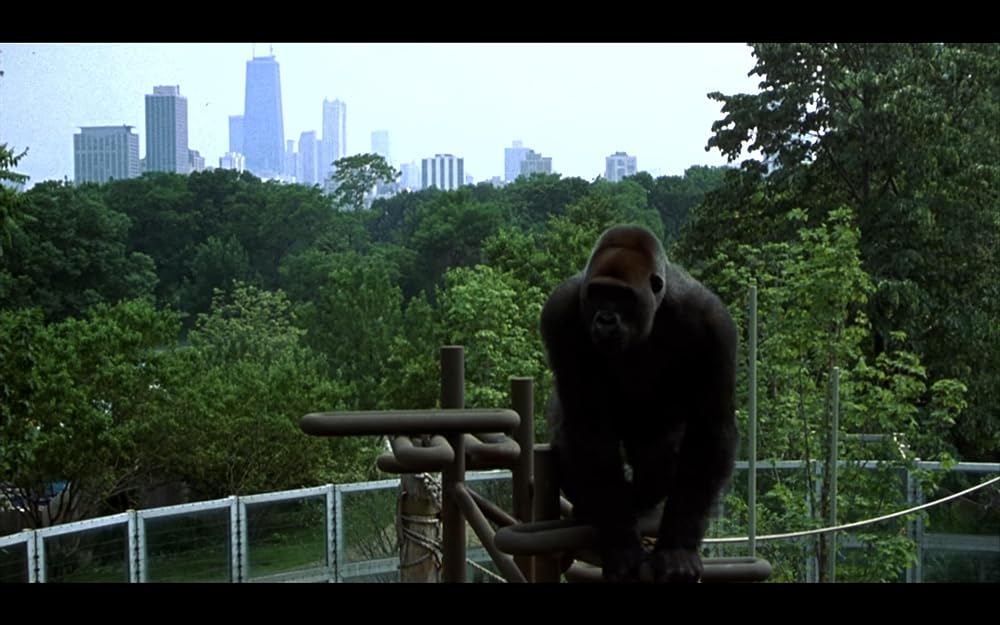 この胸のときめきの画像