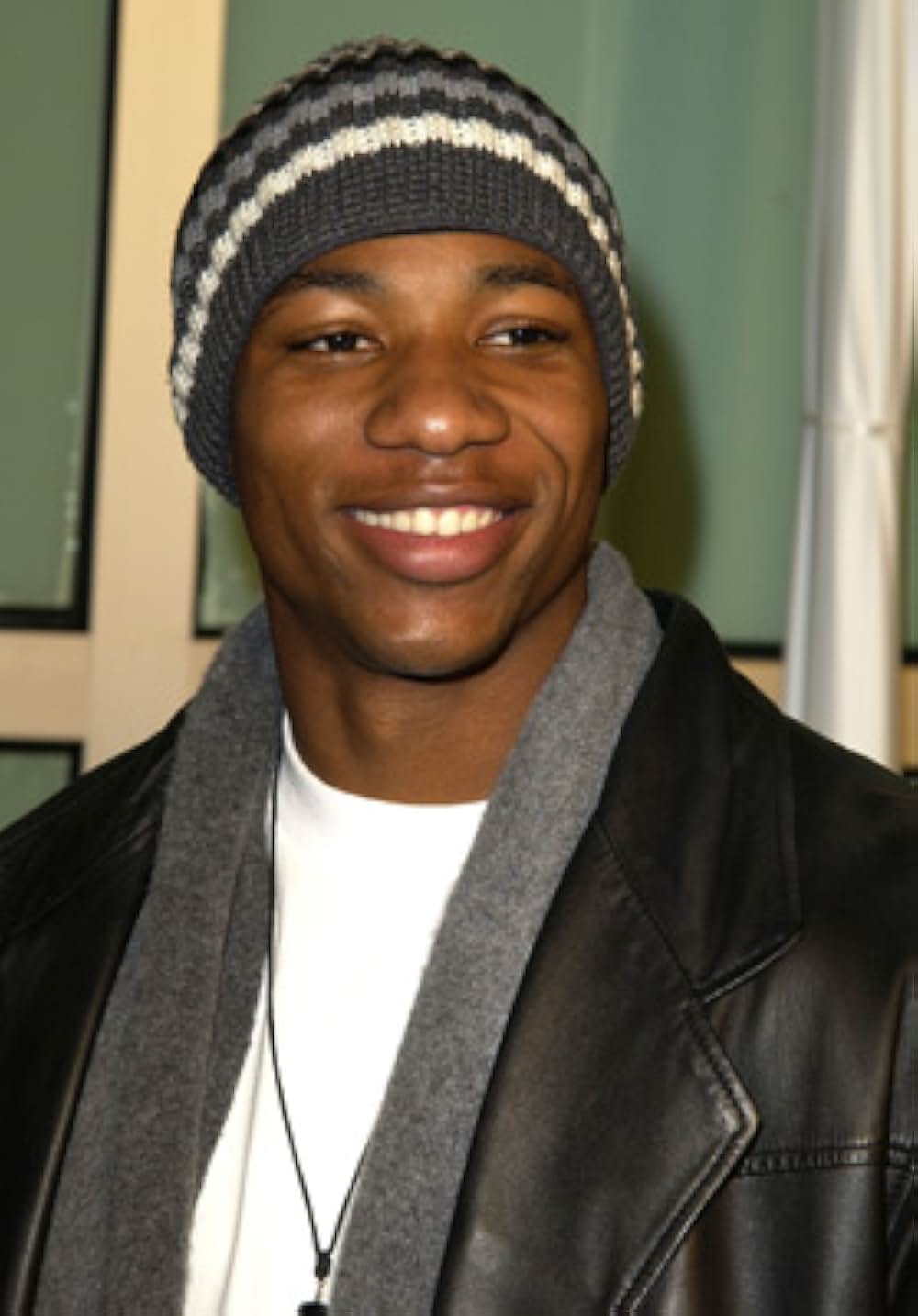 ダーク・スティールの画像