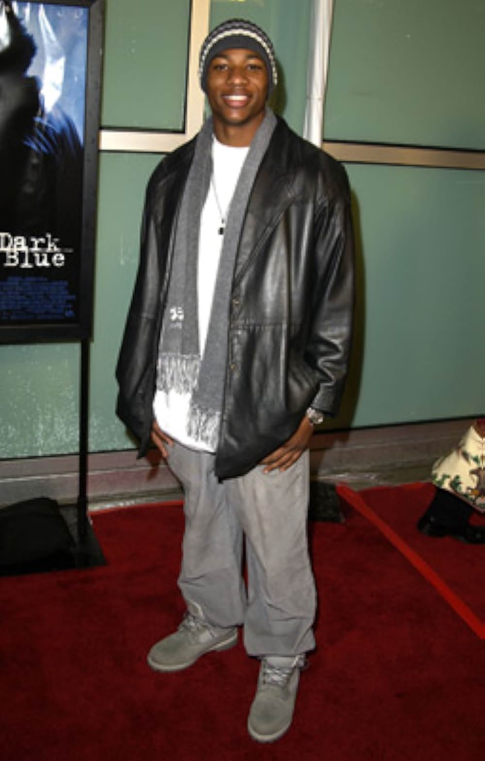 ダーク・スティールの画像