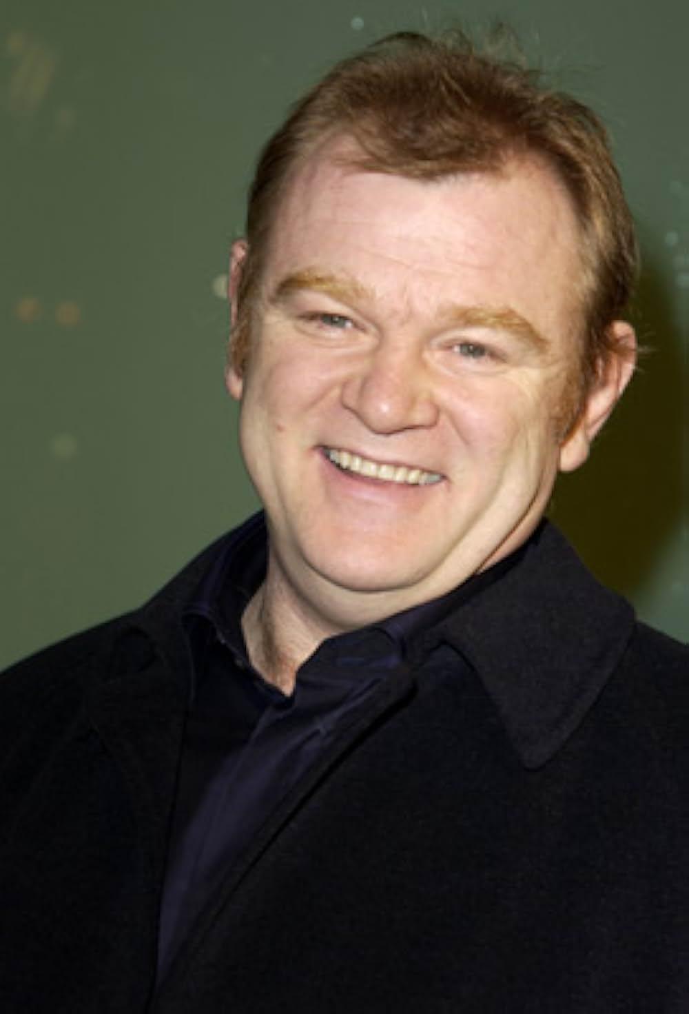 ダーク・スティールの画像