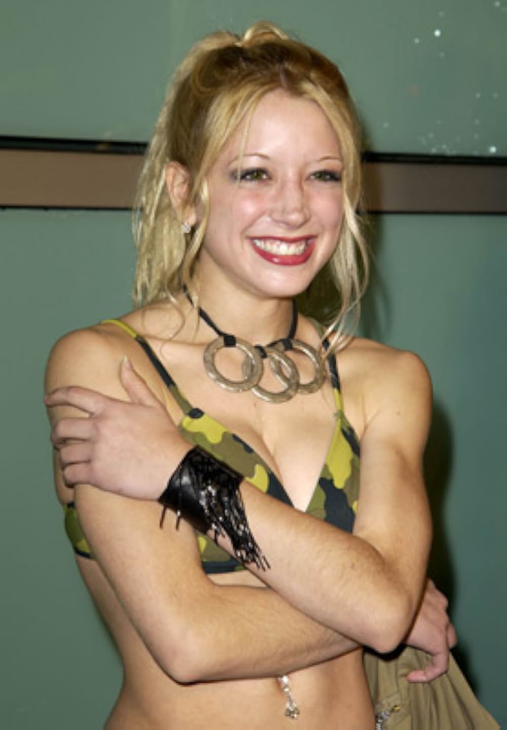 ダーク・スティールの画像