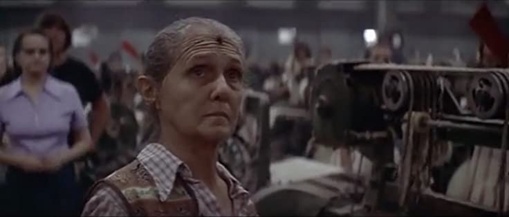 「ノーマ・レイ」の画像