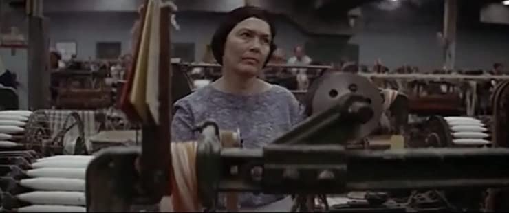 「ノーマ・レイ」の画像