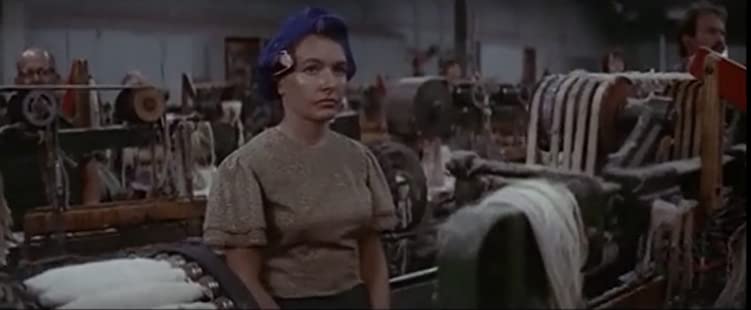 「ノーマ・レイ」の画像