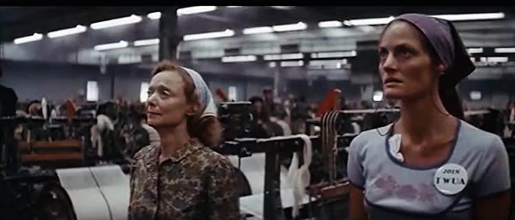 ノーマ・レイの画像