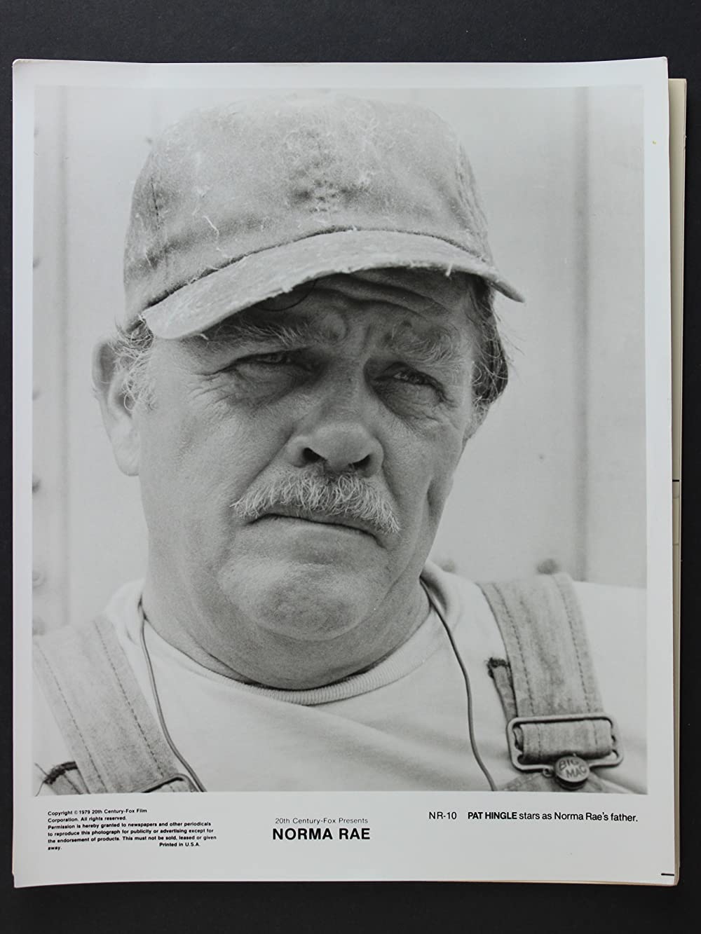 ノーマ・レイの画像