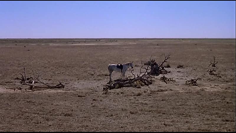 「わが青春の輝き」ジュディ・デイビスの画像