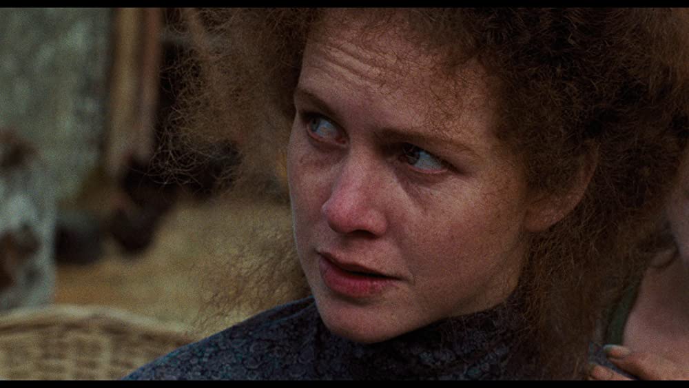 わが青春の輝きの画像