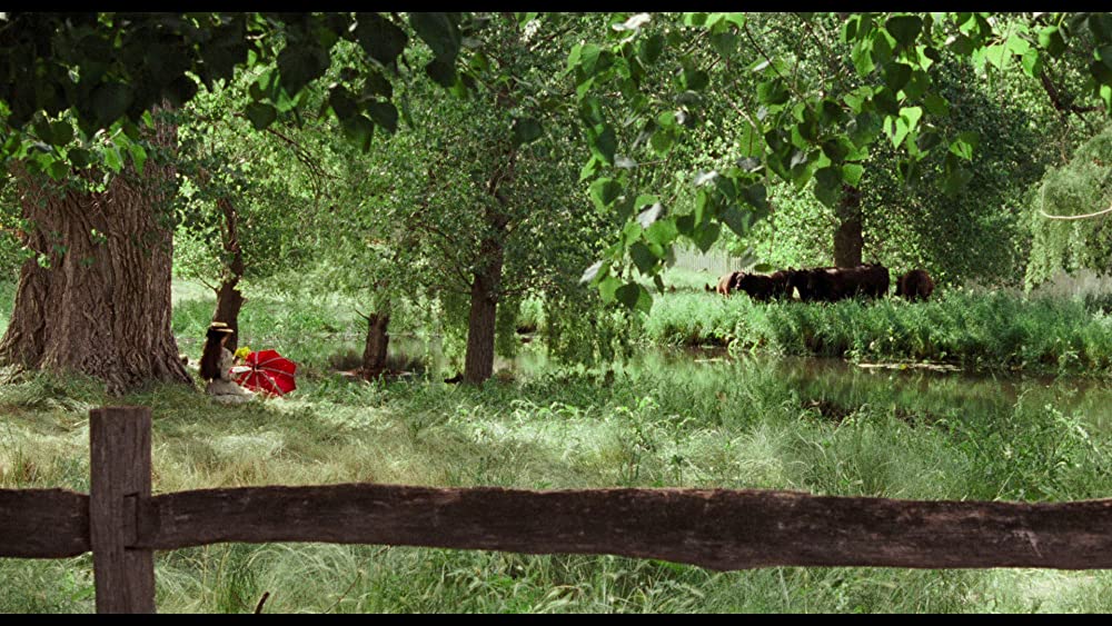 「わが青春の輝き」ジュディ・デイビスの画像