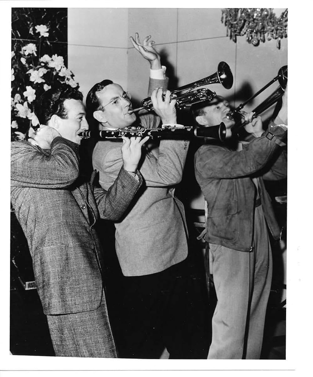 オーケストラの妻たちの画像