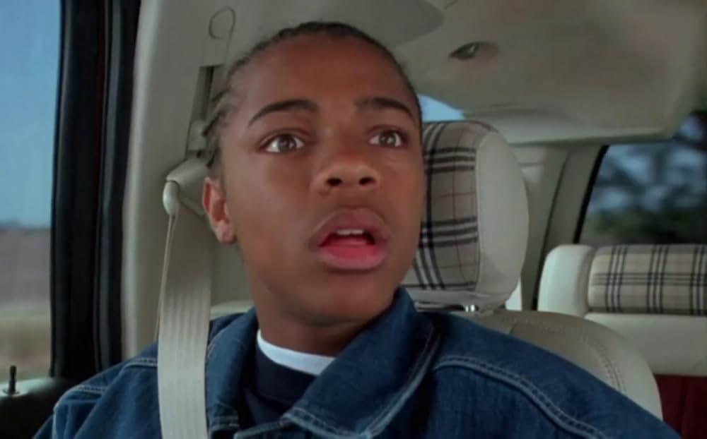 ジョンソン一家の ババババケーションの画像