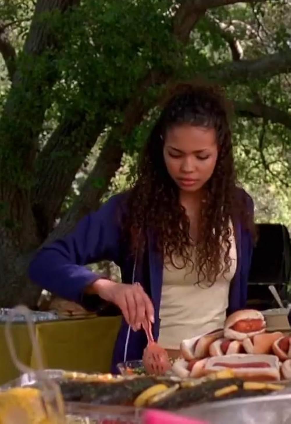 ジョンソン一家の ババババケーションの画像