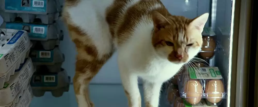 ジオストームの画像