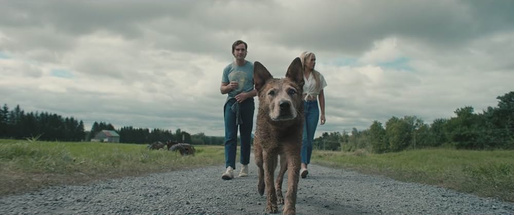 ペットセメタリー：ブラッドラインの画像