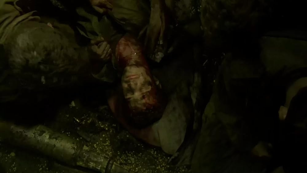 レバノンの画像