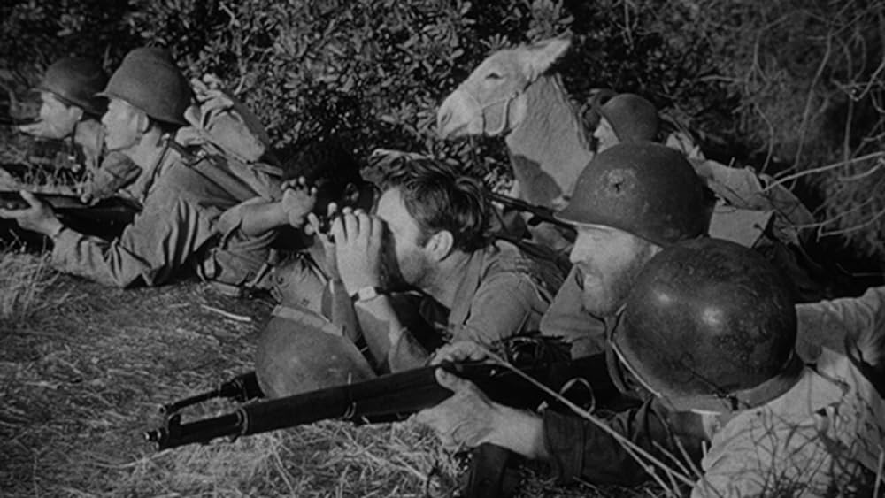 鬼軍曹ザックの画像