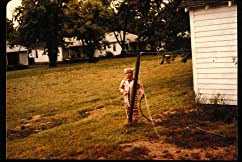 スティーヴィーの画像