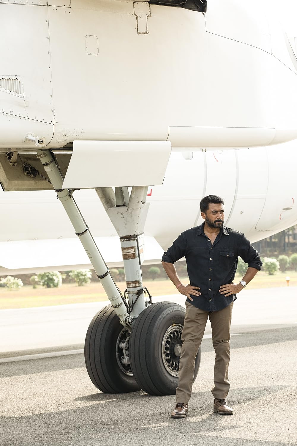 ただ空高く舞えの画像