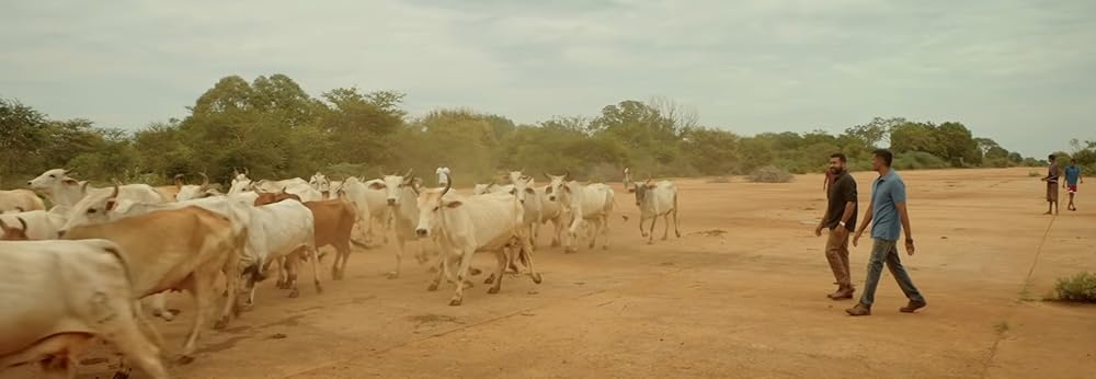 ただ空高く舞えの画像
