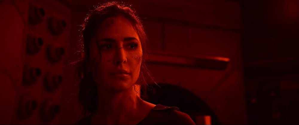 タイガー 裏切りのスパイの画像