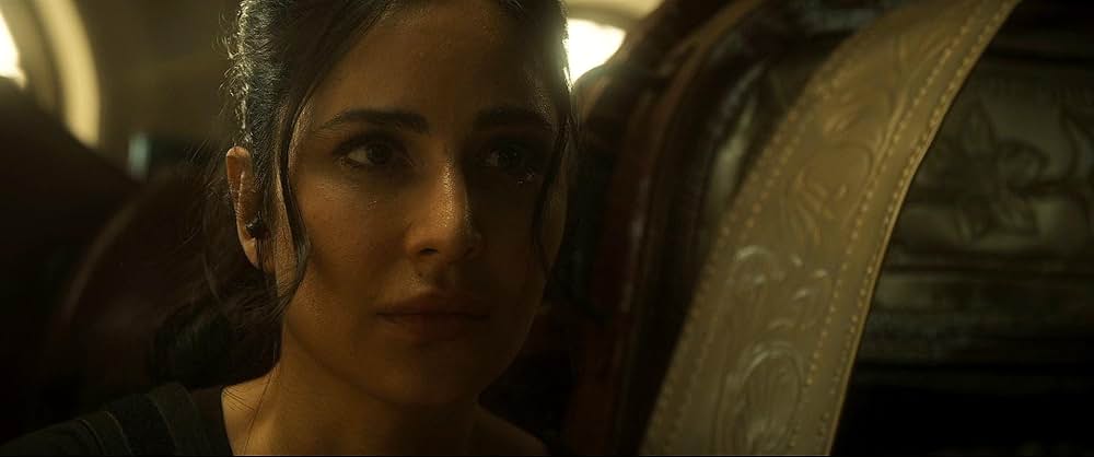 タイガー 裏切りのスパイの画像