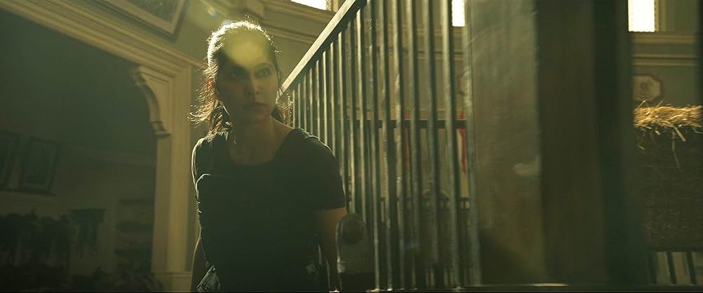 タイガー 裏切りのスパイの画像