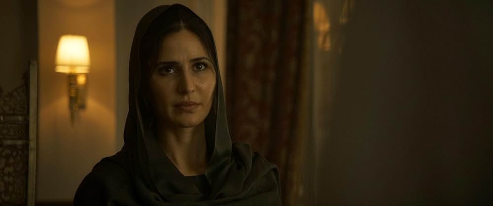 タイガー 裏切りのスパイの画像