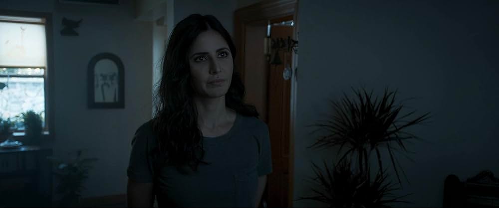 タイガー 裏切りのスパイの画像