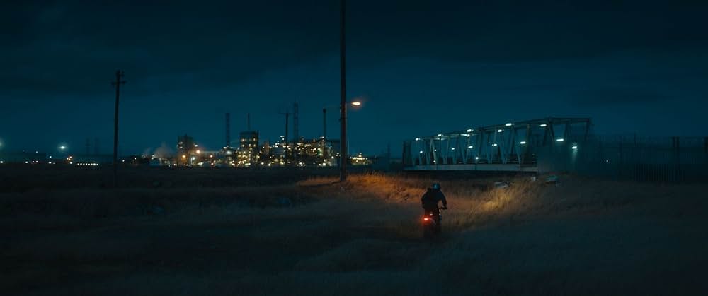 Jackdaw（原題）の画像