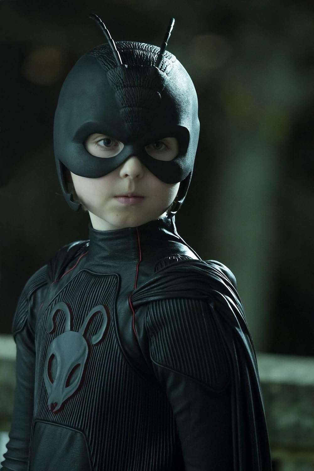 アントボーイの画像