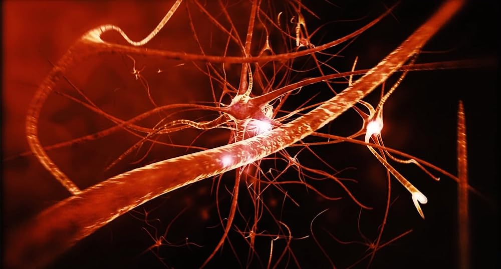 アントボーイの画像