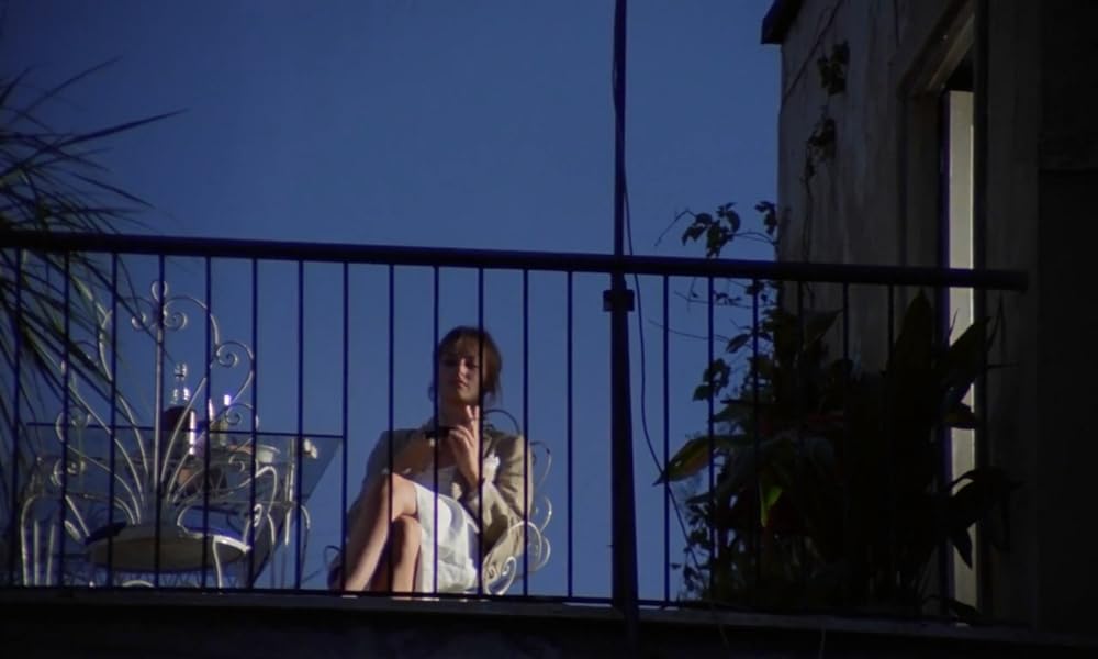 IL GATTO 猫の画像