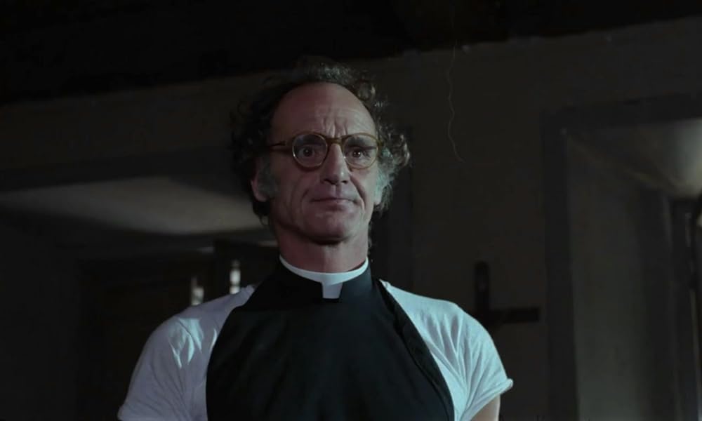 IL GATTO 猫の画像