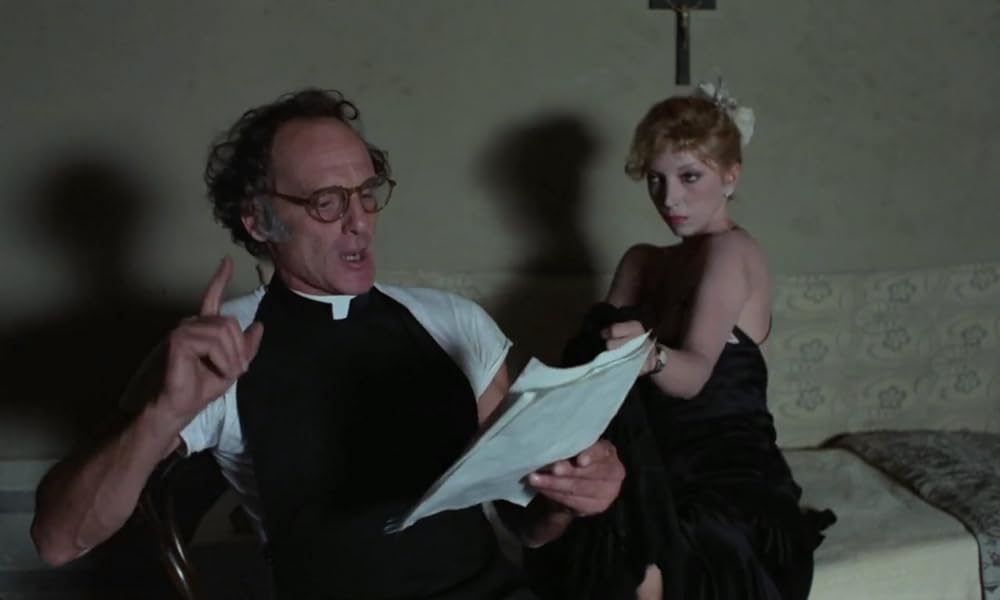 IL GATTO 猫の画像