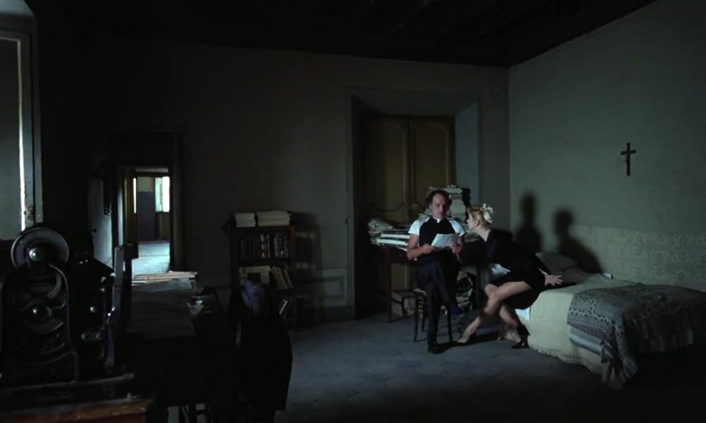 IL GATTO 猫の画像