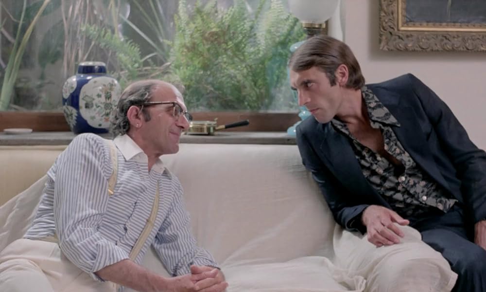 IL GATTO 猫の画像