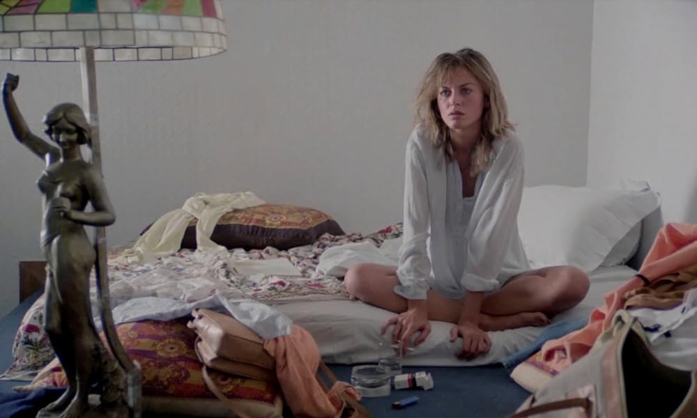 IL GATTO 猫の画像