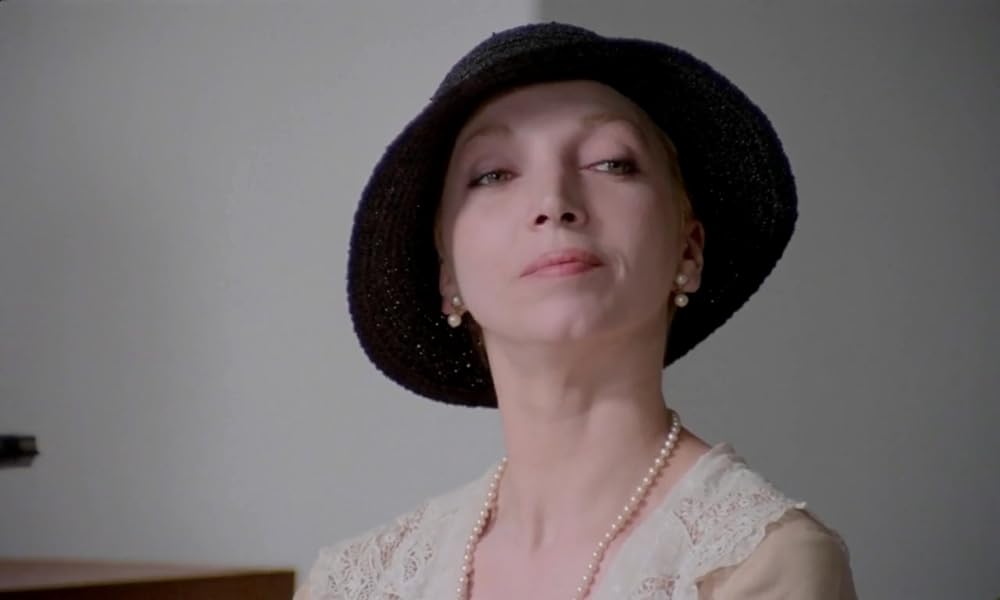 IL GATTO 猫の画像