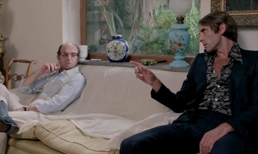 IL GATTO 猫の画像