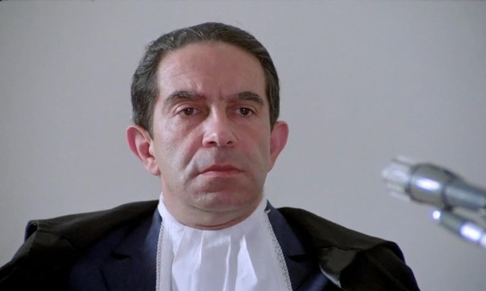 IL GATTO 猫の画像