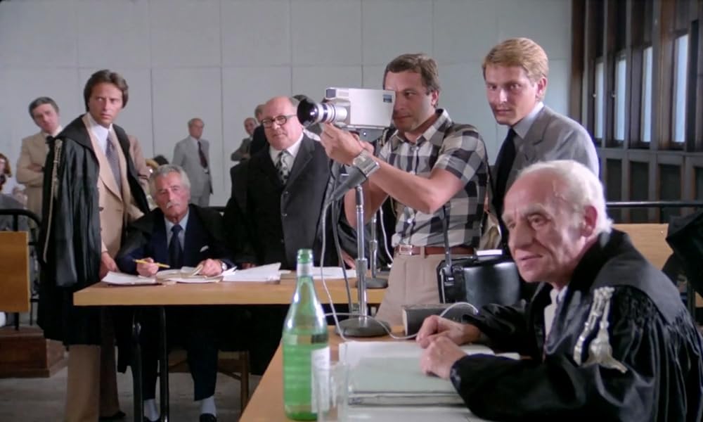 IL GATTO 猫の画像