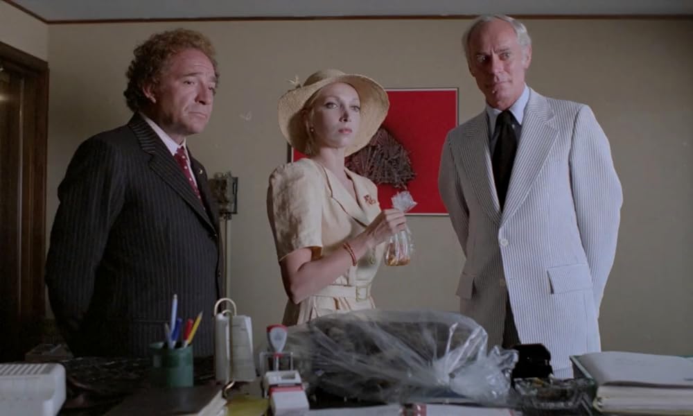 IL GATTO 猫の画像