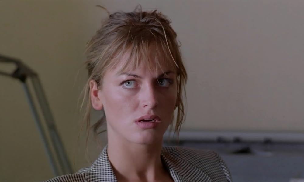 IL GATTO 猫の画像