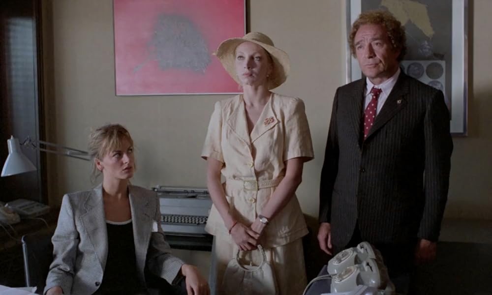 IL GATTO 猫の画像