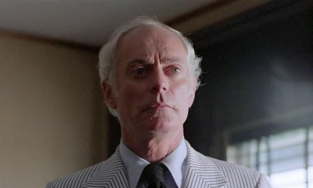 IL GATTO 猫の画像